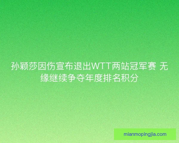孙颖莎因伤宣布退出WTT两站冠军赛 无缘继续争夺年度排名积分