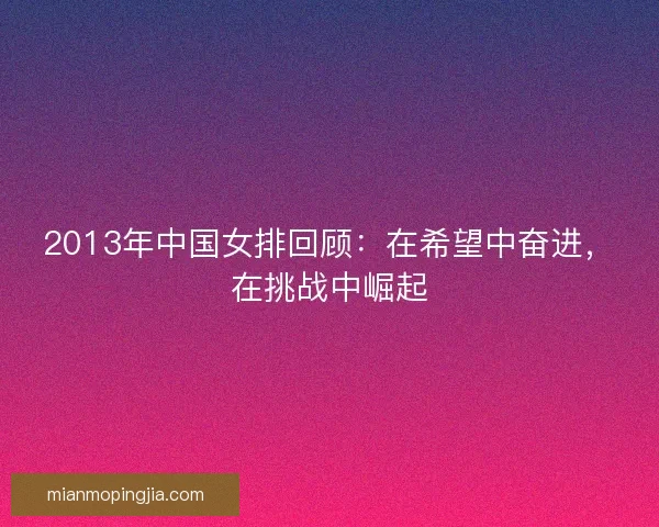 2013年中国女排回顾：在希望中奋进，在挑战中崛起