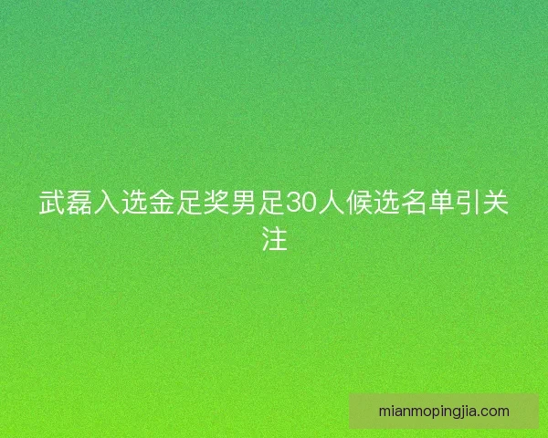 武磊入选金足奖男足30人候选名单引关注